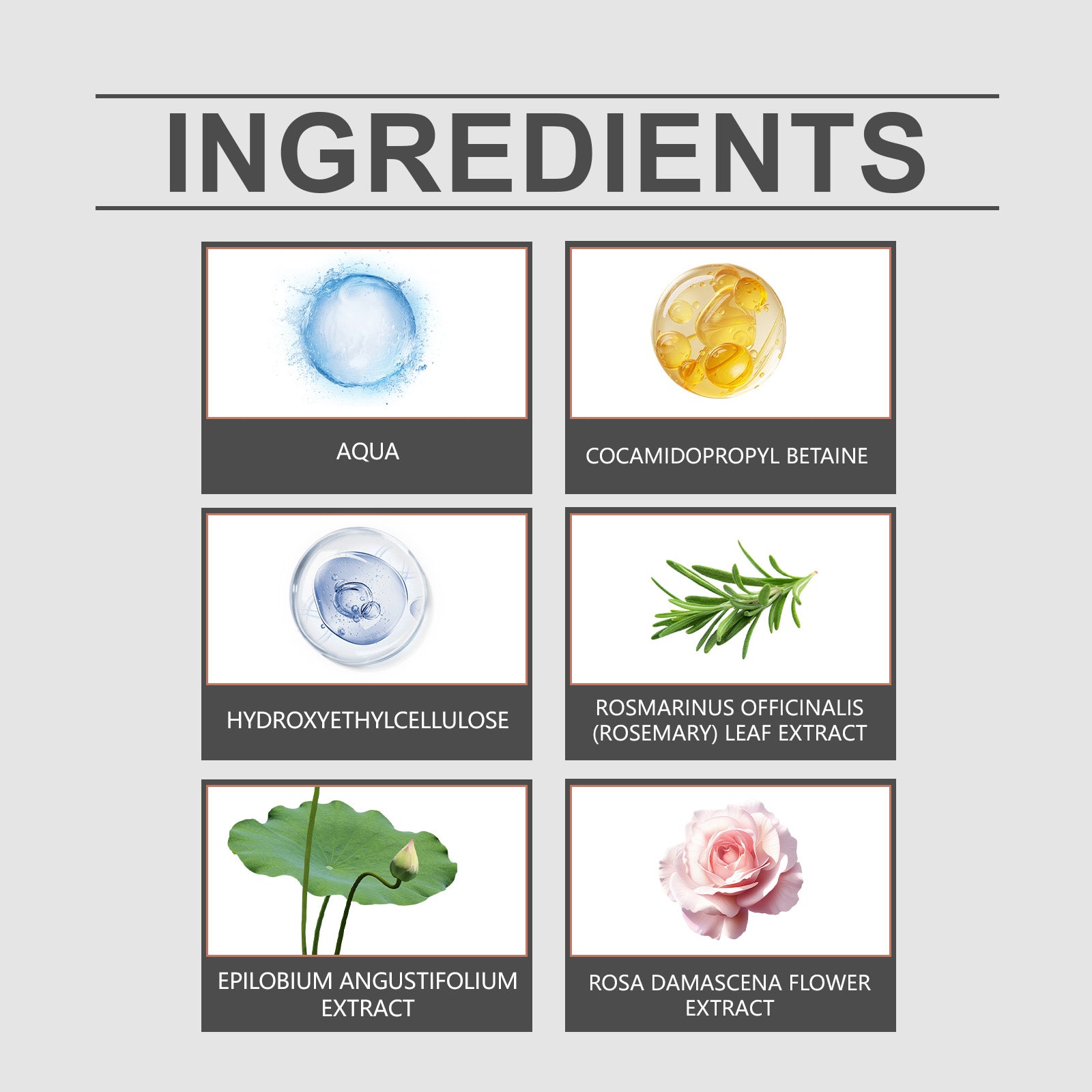 Oil Control Anti Dandruff Shampoo with Rosemary Extract | GlowHub
